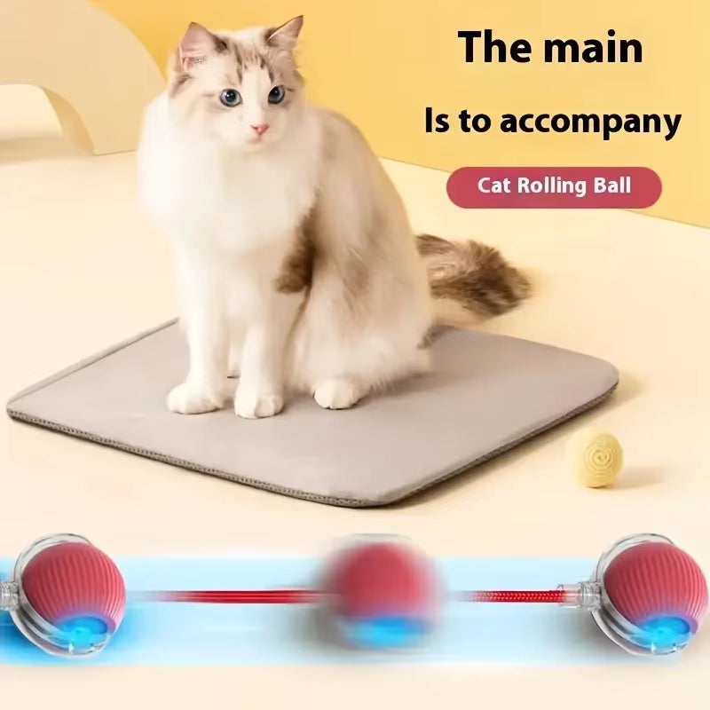 Automatic Rolling Ball Interactive Ball Cat Toys Pet Supplies Electric Dog and Cat Training to Imitate Rat Rechargeable Products